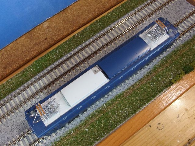 OLY54870_R.jpg