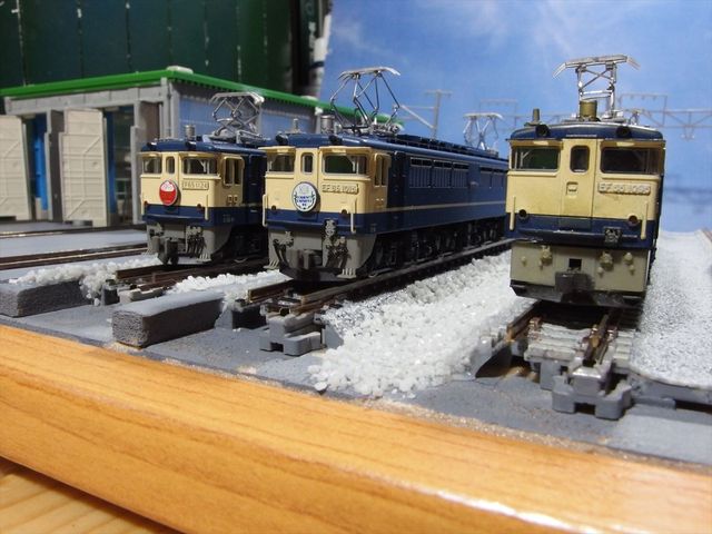 OLY94935_R.jpg