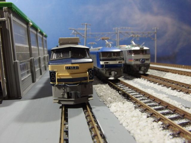 OLY64899_R.jpg