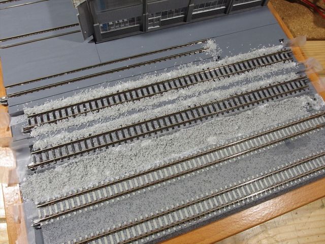 OLY94784_R.jpg