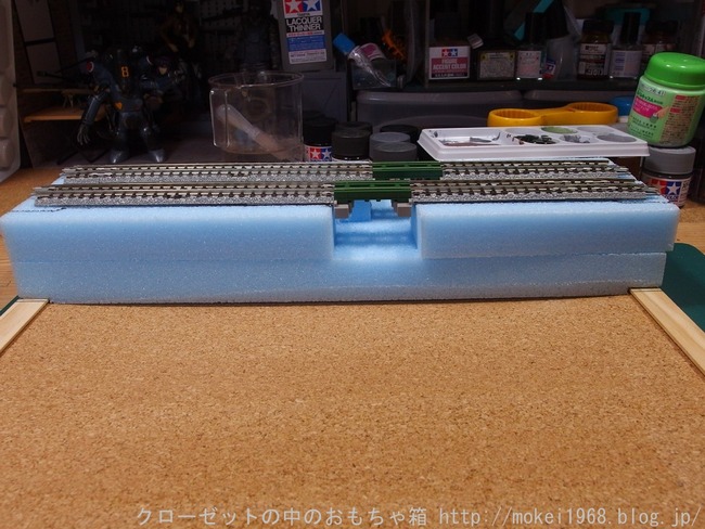 s-OLY30843