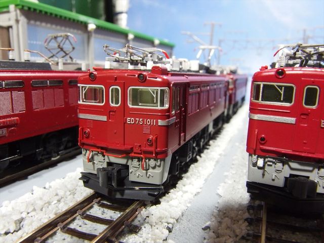 OLY94920_R.jpg