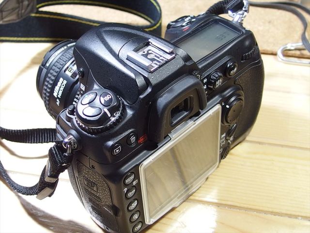 OLY10207_R.jpg