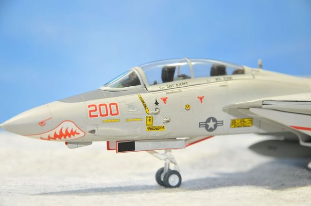 DSC_8014_R.jpg
