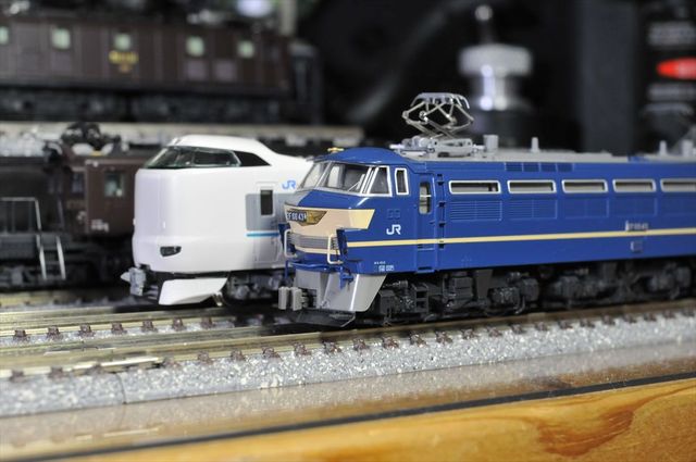 DSC_3124_R.jpg