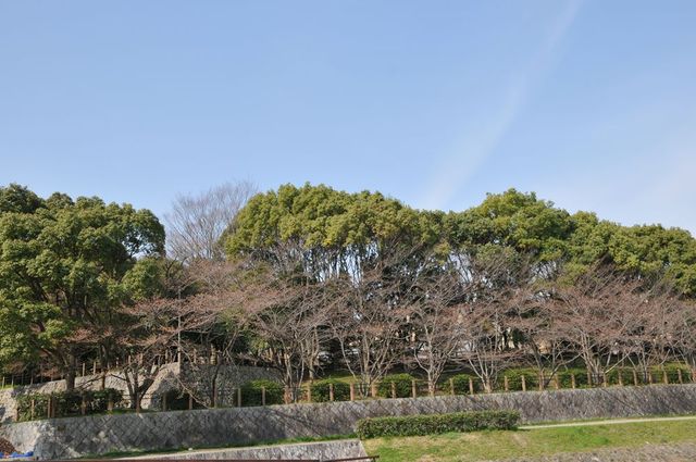 DSC_0058_R.jpg
