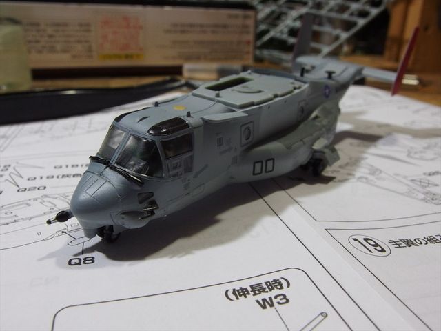 OLY42775_R.jpg
