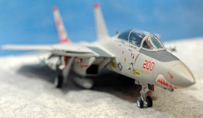 46 F-14 VF-111_R