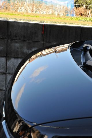 DSC_8915_R.jpg