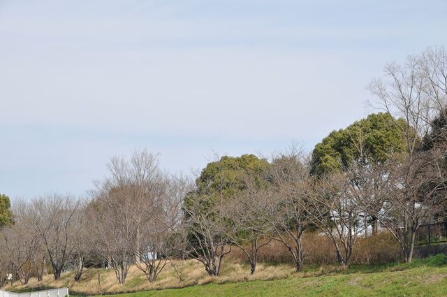 DSC_0064_R.jpg