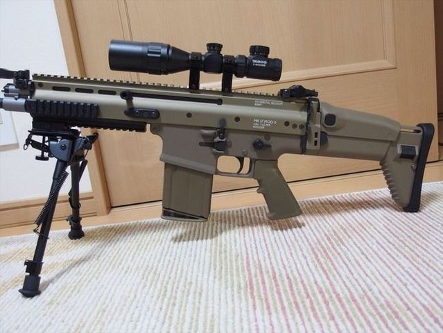 scar13