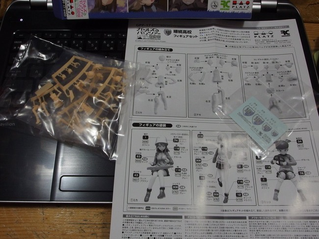 OLY43372_R