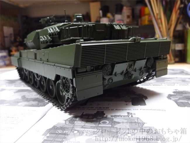 OLY09671_R