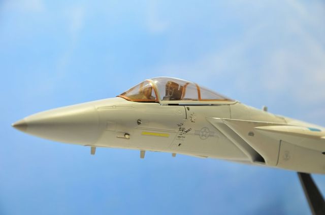 DSC_8174_R.jpg