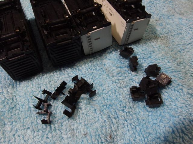 OLY53530_R.jpg