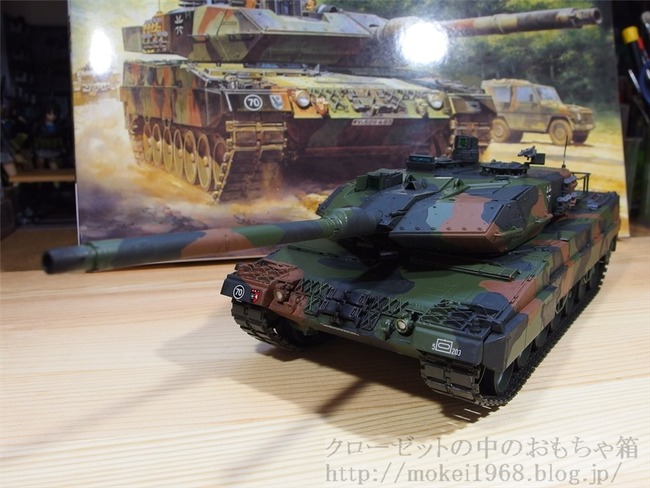 OLY09685_R