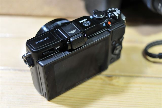DSC_3699_R.jpg