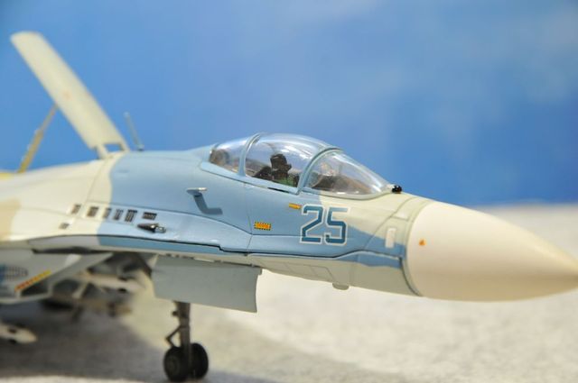 DSC_8110_R.jpg