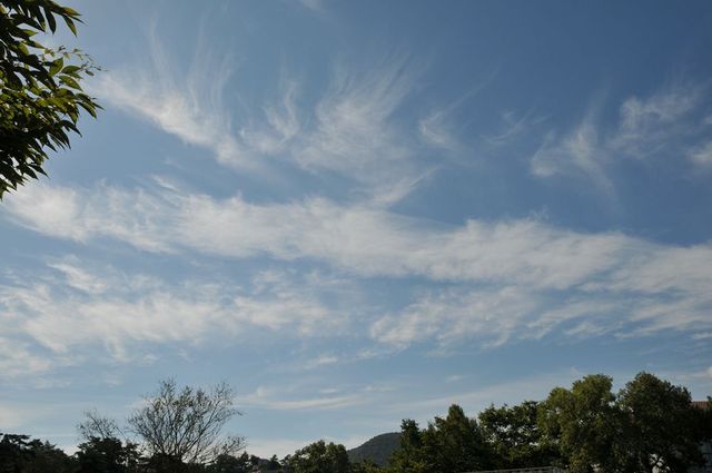 DSC_6844_R.jpg