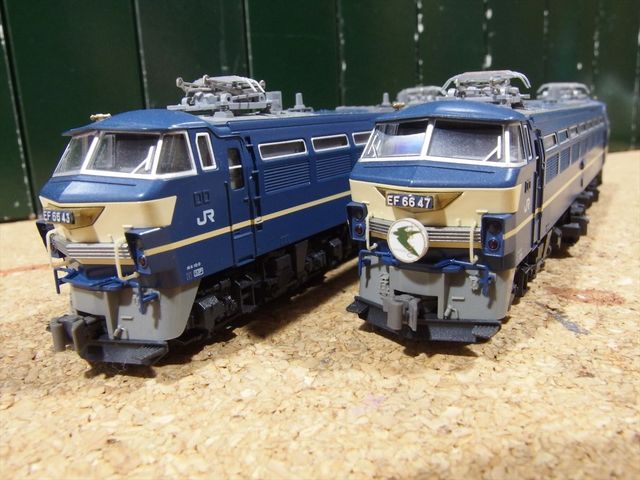 OLY87003_R.jpg