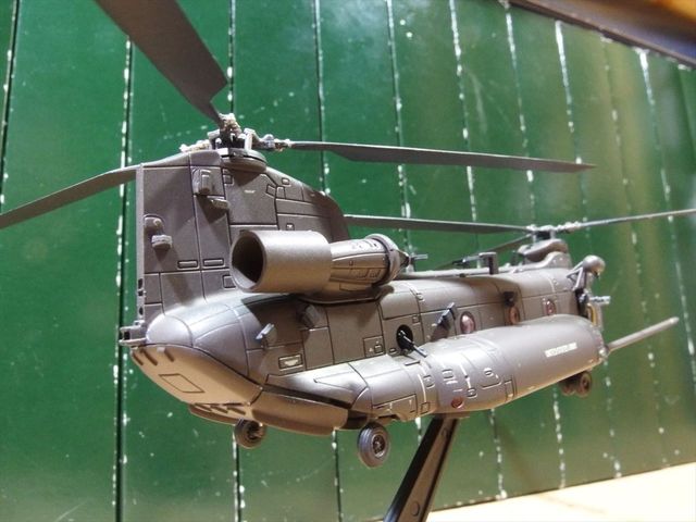 OLY93259_R.jpg