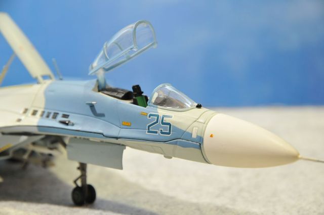 DSC_8111_R.jpg