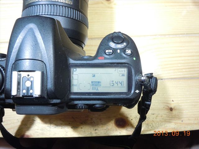 DSCN1993_R.jpg