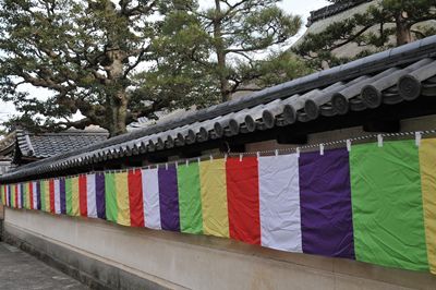 東寺 寺の壁_R