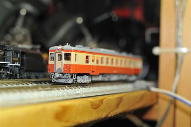 DSC_2568_R.jpg