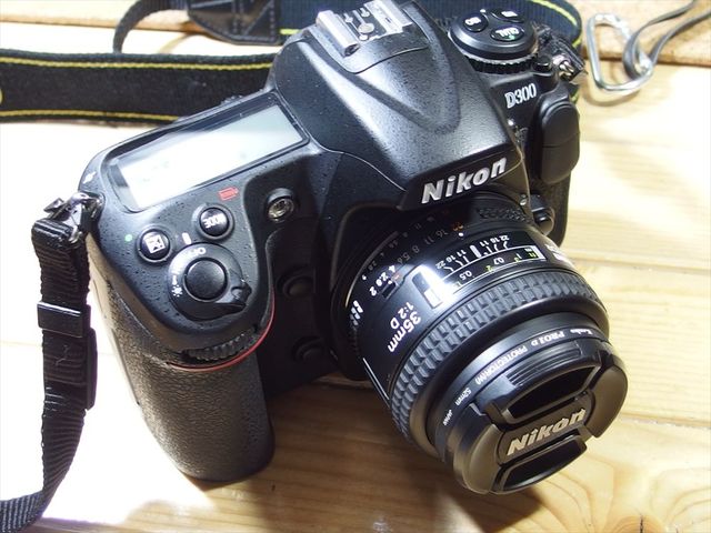 OLY10205_R.jpg