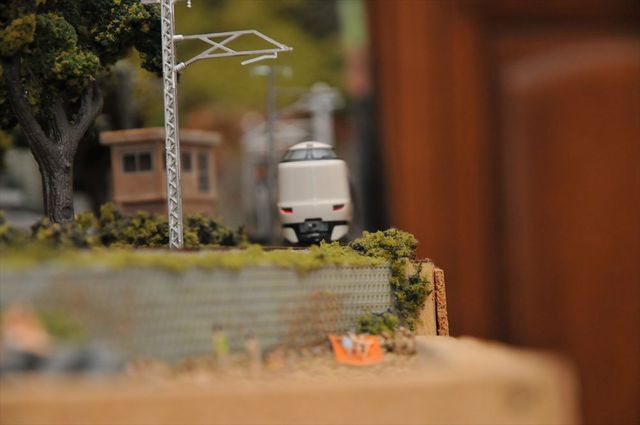 DSC_0906_R.jpg