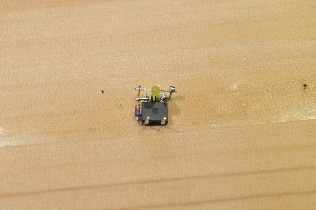 DSC_9737_R.jpg