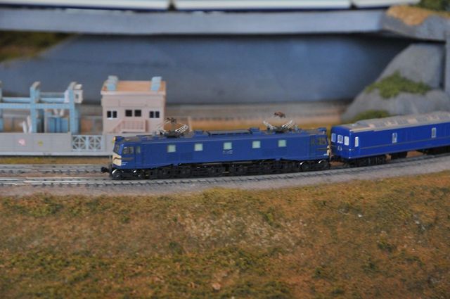 DSC_0546_R.jpg