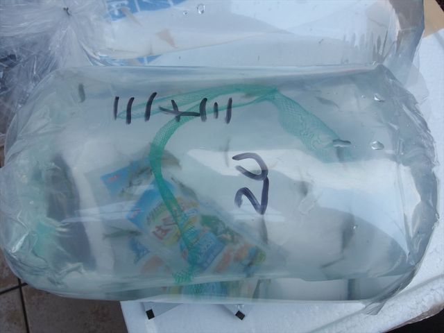 OLY11228_R.jpg