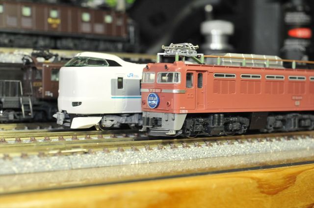 DSC_3126_R.jpg
