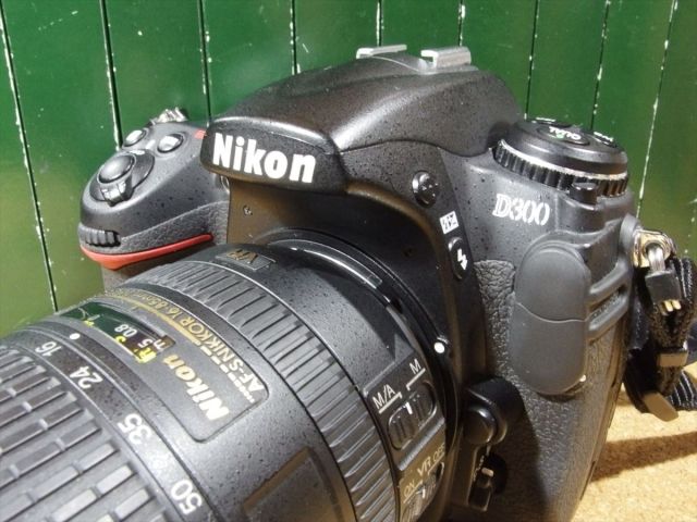 D300.jpg