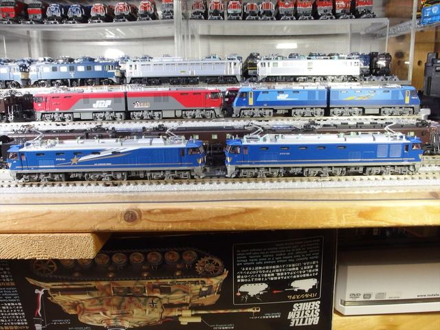 OLY93564_R.jpg