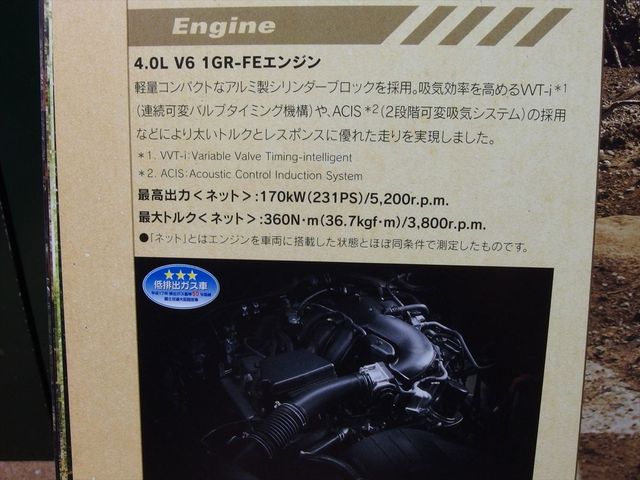 OLY54087_R.jpg