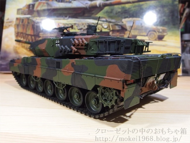OLY09687_R