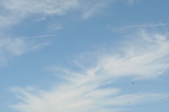DSC_2342_R.jpg