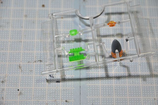DSC_0747_R.jpg