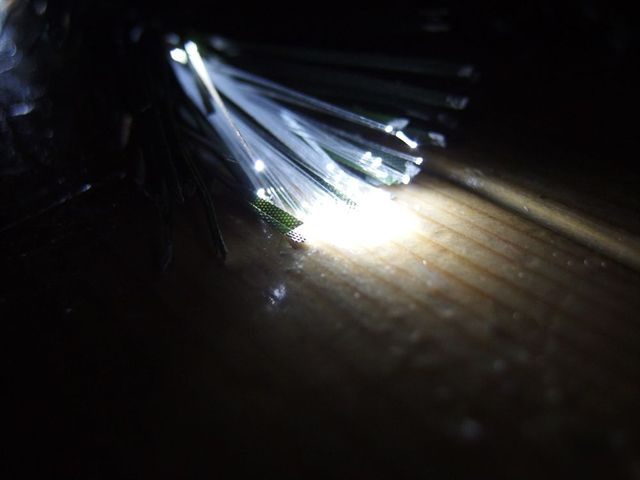 OLY90667_R.jpg