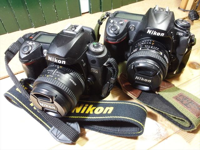 OLY80489_R.jpg