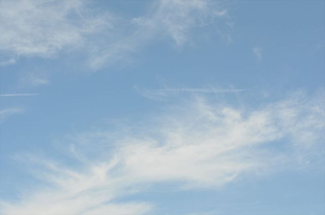 DSC_2341_R.jpg