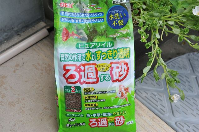 ビオトープを作ろう ホテイアオイの花が咲く と ビオトープ2を作る クローゼットの中のおもちゃ箱