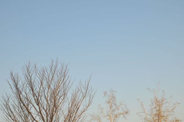 DSC_9325_R.jpg