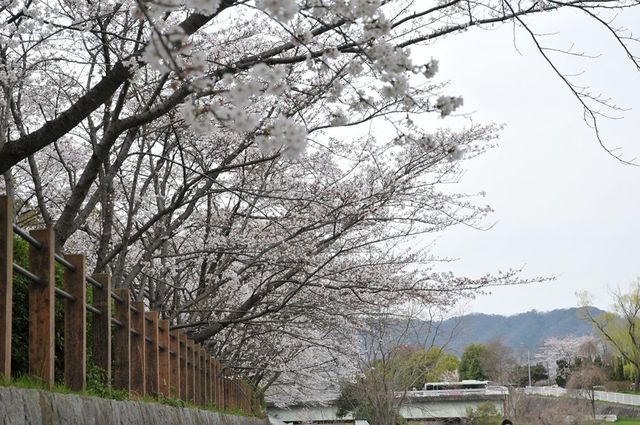 DSC_0150_R.jpg