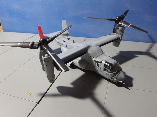 OLY36858_R.jpg