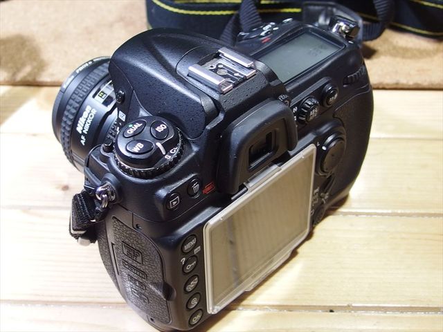 OLY10213_R.jpg