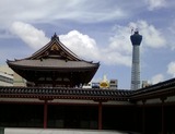 520c42e0.jpg